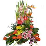 泸州鲜花速递